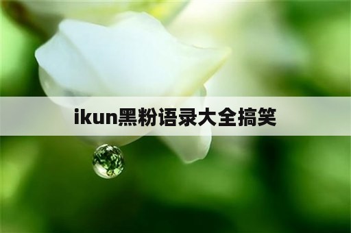 ikun黑粉语录大全搞笑