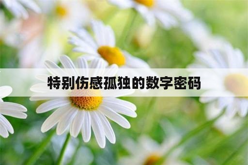 特别伤感孤独的数字密码