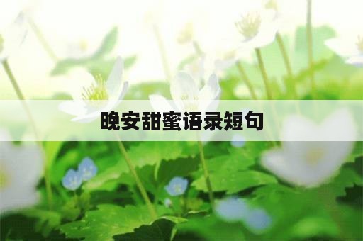 晚安甜蜜语录短句