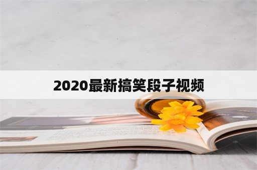 2020最新搞笑段子视频