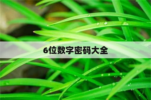 6位数字密码大全