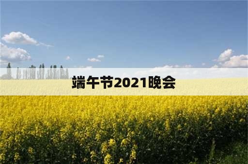 端午节2021晚会