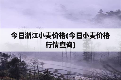 今日浙江小麦价格(今日小麦价格行情查询)