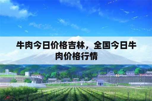 牛肉今日价格吉林，全国今日牛肉价格行情