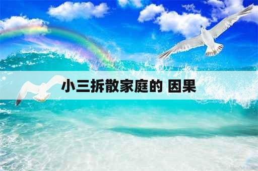 小三拆散家庭的 因果