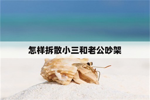 怎样拆散小三和老公吵架