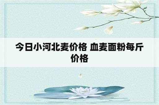 今日小河北麦价格 血麦面粉每斤价格