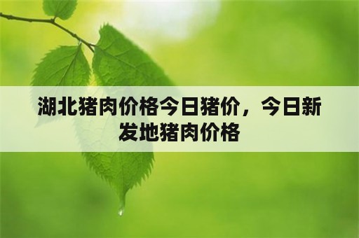 湖北猪肉价格今日猪价，今日新发地猪肉价格