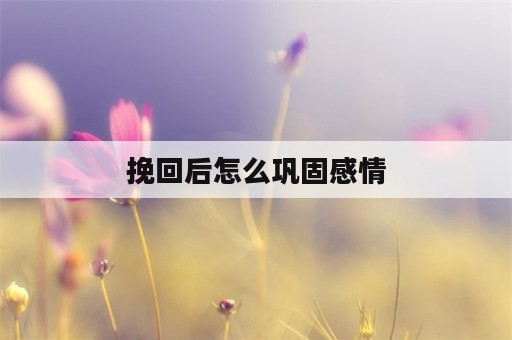 挽回后怎么巩固感情