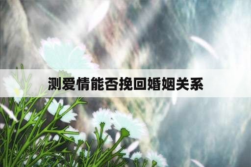 测爱情能否挽回婚姻关系