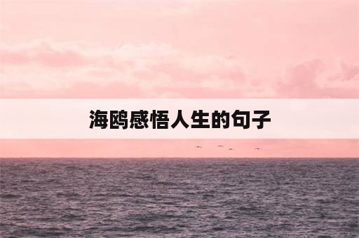 海鸥感悟人生的句子