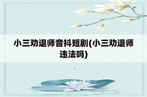 小三劝退师音抖短剧(小三劝退师违法吗)