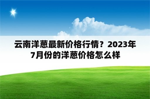 云南洋葱最新价格行情？2023年7月份的洋葱价格怎么样