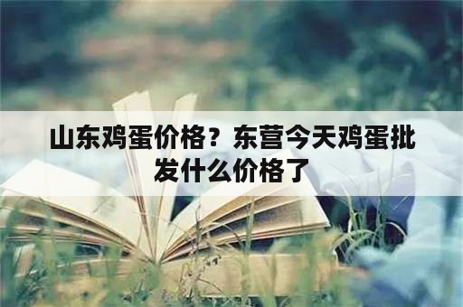 山东鸡蛋价格？东营今天鸡蛋批发什么价格了