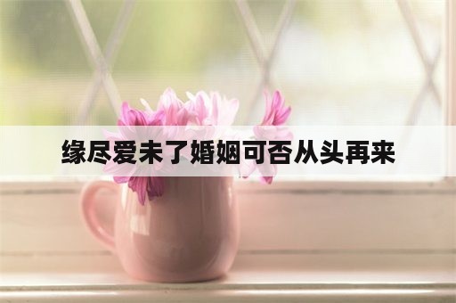 缘尽爱未了婚姻可否从头再来