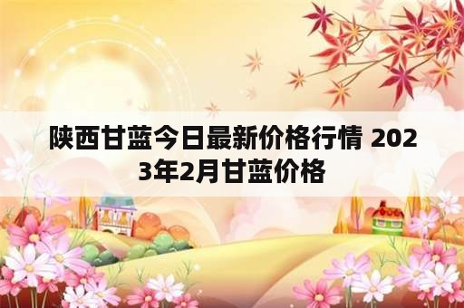 陕西甘蓝今日最新价格行情 2023年2月甘蓝价格