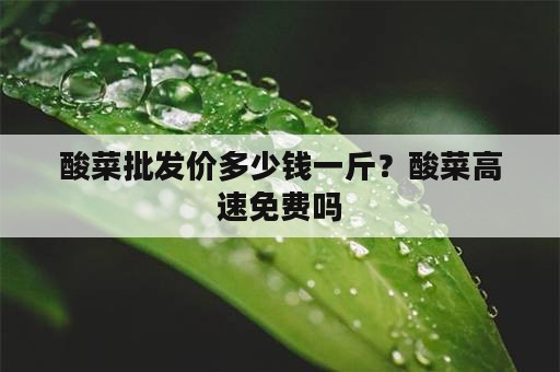 酸菜批发价多少钱一斤？酸菜高速免费吗