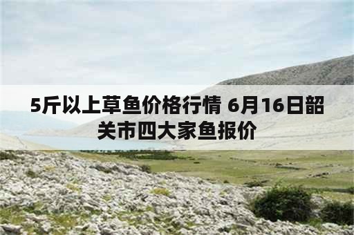 5斤以上草鱼价格行情 6月16日韶关市四大家鱼报价