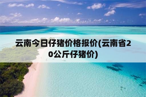 云南今日仔猪价格报价(云南省20公斤仔猪价)