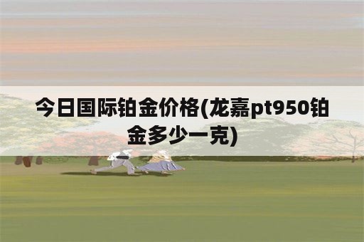 今日国际铂金价格(龙嘉pt950铂金多少一克)