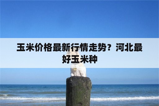 玉米价格最新行情走势？河北最好玉米种