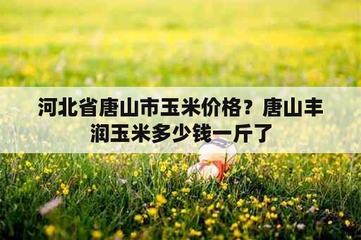 河北省唐山市玉米价格？唐山丰润玉米多少钱一斤了