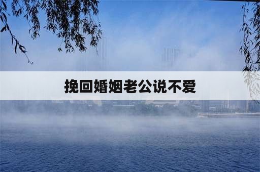 挽回婚姻老公说不爱