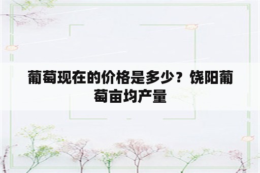 葡萄现在的价格是多少？饶阳葡萄亩均产量