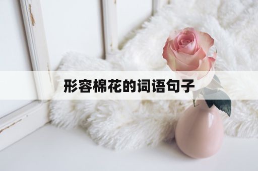 形容棉花的词语句子