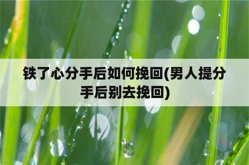 铁了心分手后如何挽回(男人提分手后别去挽回)