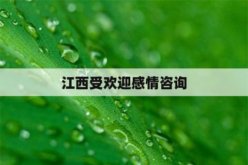 江西受欢迎感情咨询