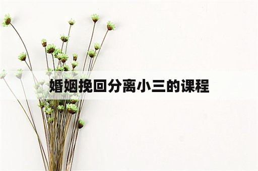 婚姻挽回分离小三的课程