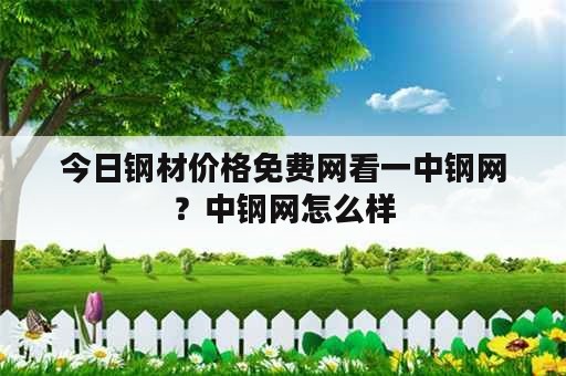 今日钢材价格免费网看一中钢网？中钢网怎么样