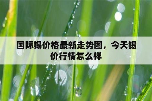 国际锡价格最新走势图，今天锡价行情怎么样