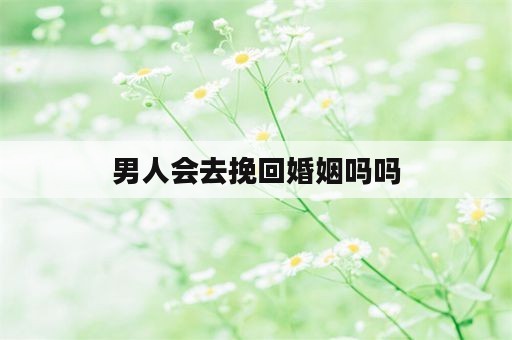 男人会去挽回婚姻吗吗