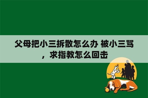 父母把小三拆散怎么办 被小三骂，求指教怎么回击